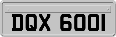 DQX6001