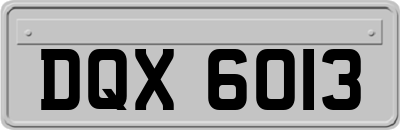 DQX6013