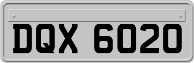 DQX6020