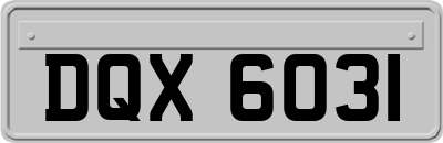DQX6031