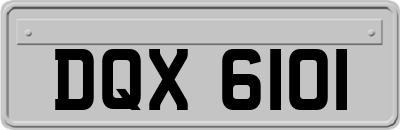 DQX6101