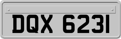 DQX6231
