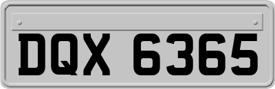 DQX6365