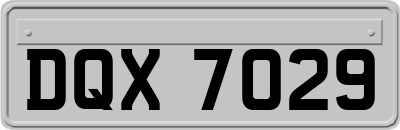 DQX7029