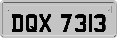 DQX7313