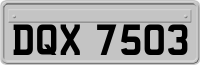 DQX7503
