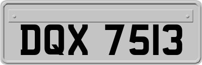 DQX7513