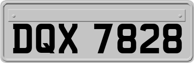 DQX7828