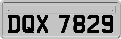 DQX7829