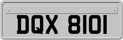 DQX8101