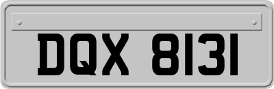 DQX8131