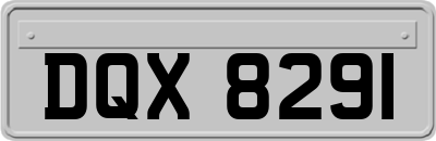 DQX8291