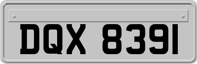 DQX8391