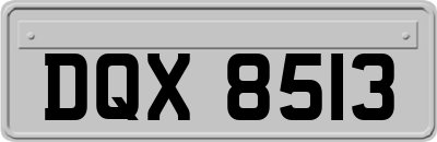 DQX8513