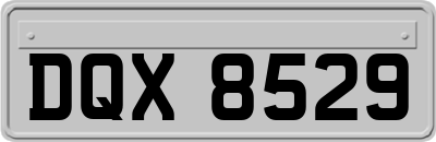 DQX8529