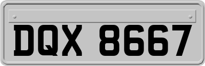 DQX8667