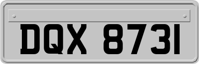 DQX8731