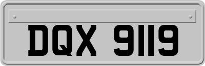 DQX9119