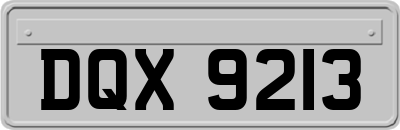 DQX9213