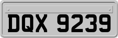 DQX9239