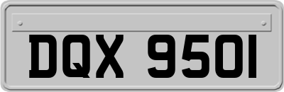 DQX9501