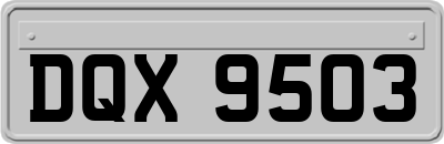 DQX9503