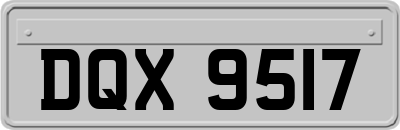 DQX9517
