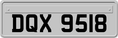 DQX9518