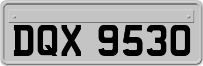 DQX9530