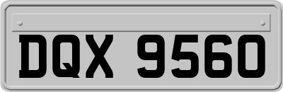 DQX9560