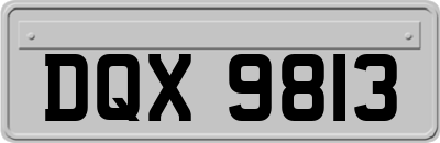 DQX9813