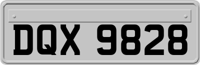 DQX9828