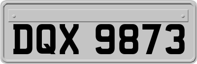 DQX9873