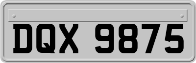 DQX9875