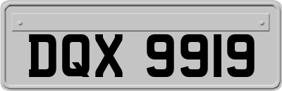 DQX9919