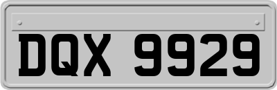 DQX9929