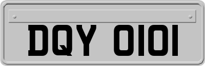 DQY0101