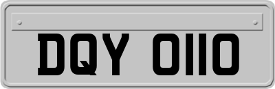 DQY0110