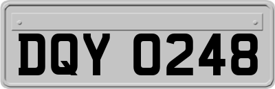 DQY0248