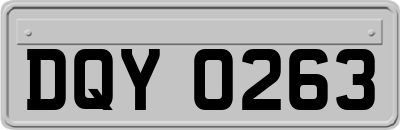 DQY0263