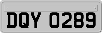 DQY0289