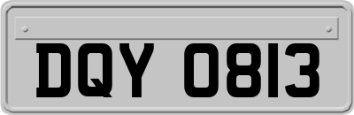 DQY0813