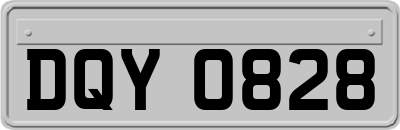 DQY0828