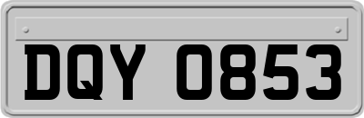 DQY0853