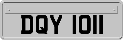 DQY1011