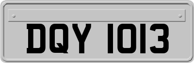 DQY1013