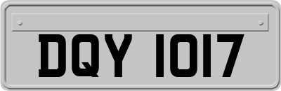 DQY1017