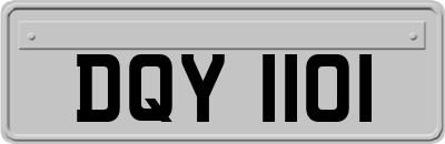 DQY1101