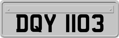 DQY1103