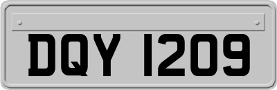 DQY1209